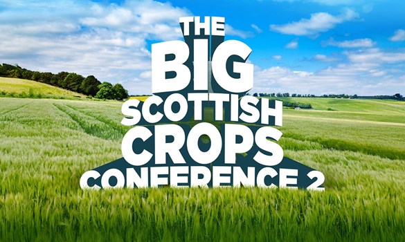 The big Scottish conference logo in the middle of the field.